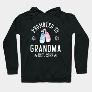 Promoted to Grandma Est. 2022 Hoodie